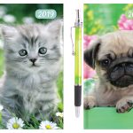 0813_SLIM_WTV_TEDDIES_VISUALS