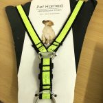 Pet Harness