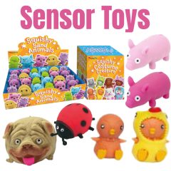 Sensory Toys