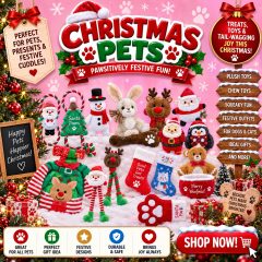 Christmas Pets
